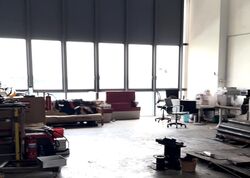 REVV (D22), Factory #488550451